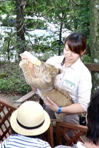 富士サファリパーク　ライオンの赤ちゃん